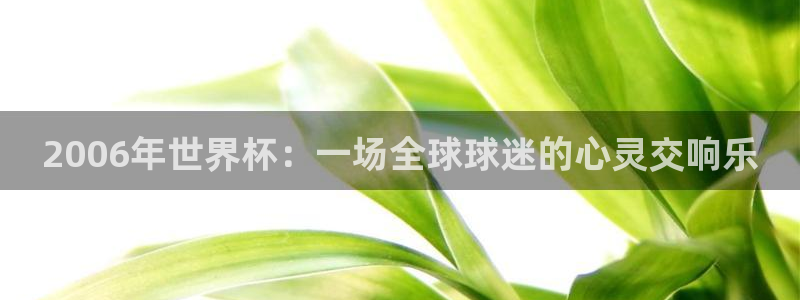 世界杯 2026:2006年世界杯:一场全球球迷的心灵交响乐