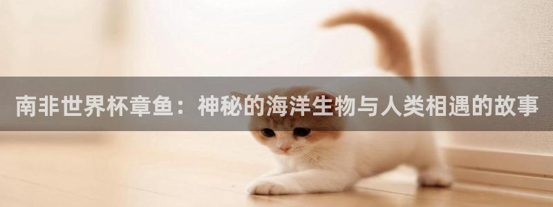 2026世亚预赛赛程表:南非世界杯章鱼:神秘的海洋生物与人类相遇的故事