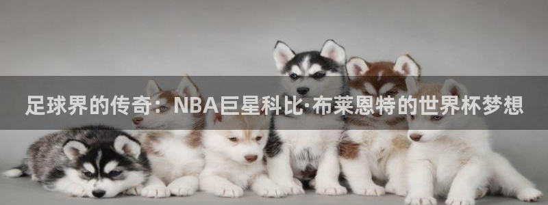 世界杯预选赛规则:足球界的传奇:NBA巨星科比·布莱恩特的世界杯梦想
