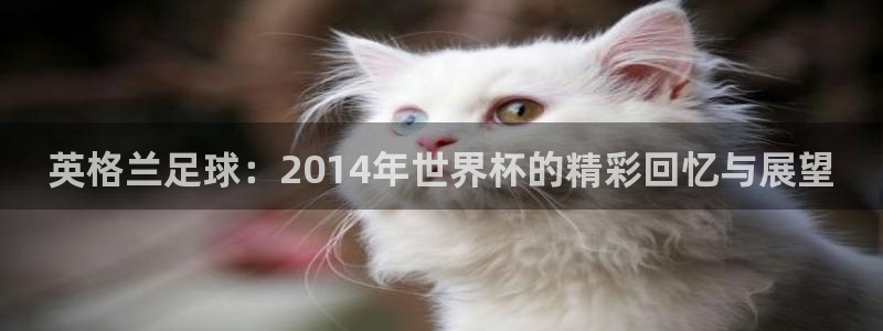 世界杯今日赛程直播:英格兰足球:2014年世界杯的精彩回忆与展望