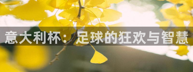 世界杯直播在线观看入口:意大利杯:足球的狂欢与智慧