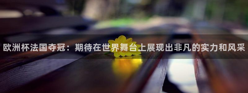 女足世界杯直播在线观看免费高清:欧洲杯法国夺冠:期待在世界舞台上展现出非凡的实力和风采