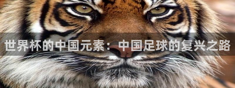 2026足球世界杯赛程时间表:世界杯的中国元素:中国足球的复兴之路