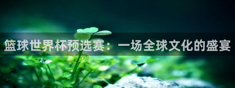 联赛杯直播:篮球世界杯预选赛:一场全球文化的盛宴