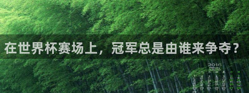 2026世界杯预选赛:在世界杯赛场上,冠军总是由谁来争夺?