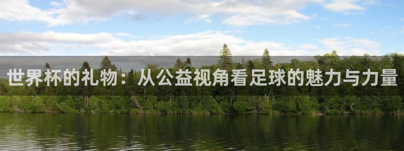 世界杯预选赛欧洲区赛程:世界杯的礼物:从公益视角看足球的魅力与力量