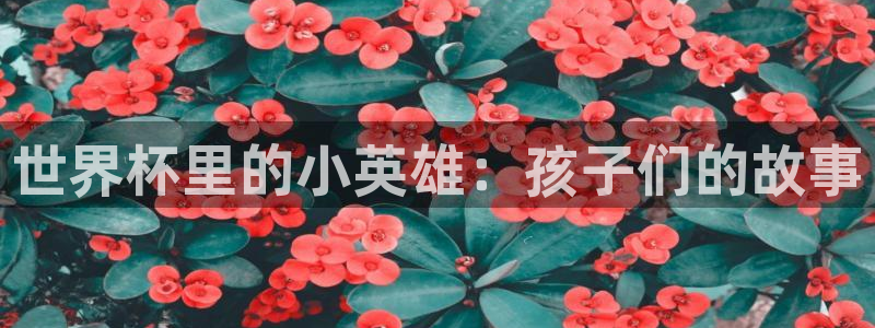 男足世界杯预选赛赛程:世界杯里的小英雄:孩子们的故事